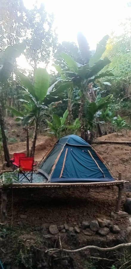 Eastdee Camping Ground Lidlidda Экстерьер фото