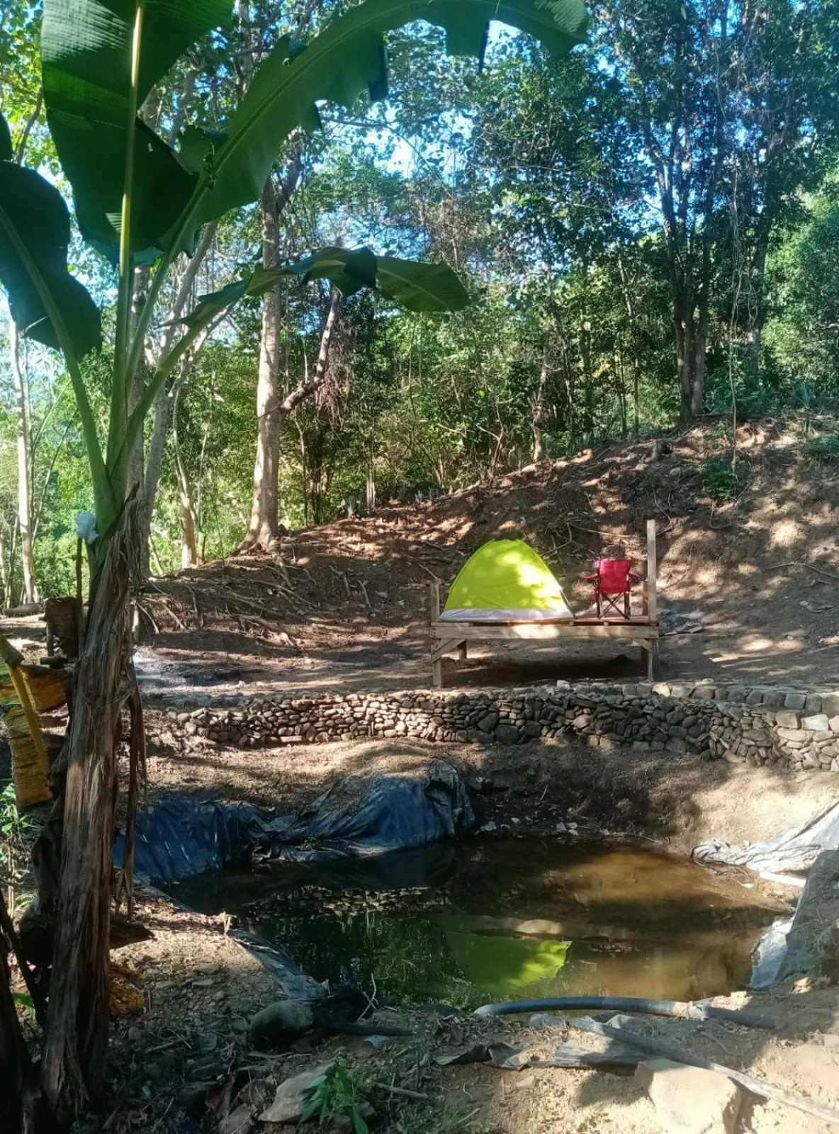 Eastdee Camping Ground Lidlidda Экстерьер фото